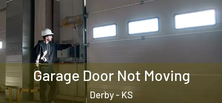  Garage Door Not Moving Derby - KS