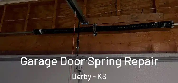  Garage Door Spring Repair Derby - KS