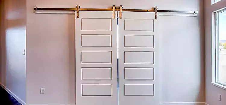 Glass Barn Door with Installation Hardware Kit Derby
